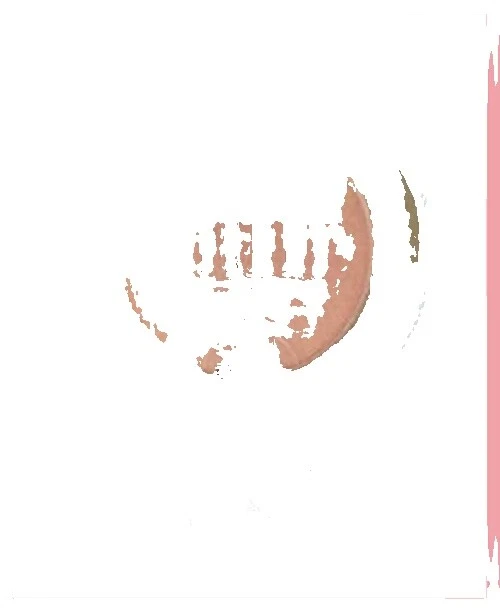 Loose Powder Peach Shade Oil-Free Blushes