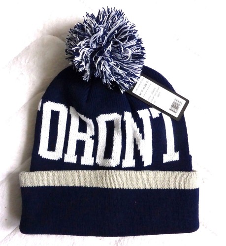TORONTO Canada WINTER Navy Grey Maple 