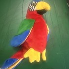 RARE Jabber the Parrot Ty Beanie Baby Excellent Condition! — photo 4