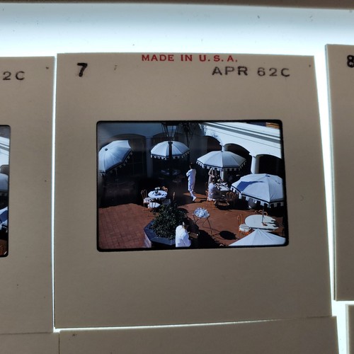 40+ Vtg 1960s Florida Easter Kodachrome Color Slides – MCM Family Vacation Retro - Picture 10 of 15