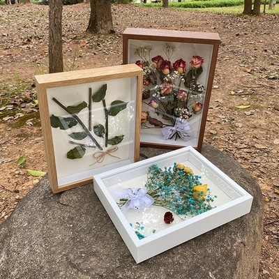 3D Hohl Bilderrahmen Set 2 Stück für Schmetterling Proben und Basteln Kunst