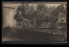 RPPC Postcard Bearded Man Sitting In Horse Drawn Buggy c1910