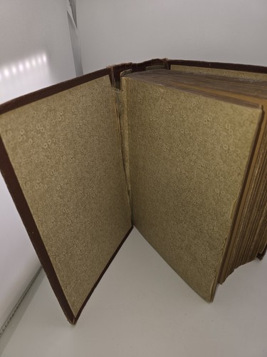 Catholic Book, Half Hours With The Servants Of God, History, 1889, Illustrated - Foto 5 di 8