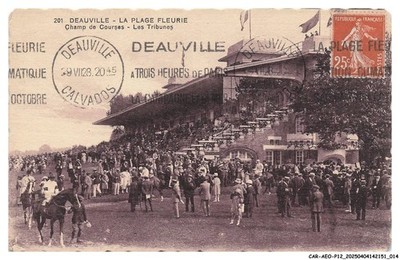CAR-AEOP12-0588-14 - DEAUVILLE - La place fleurie - Champ de race - Les tri