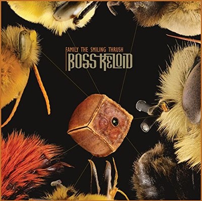 RIPPLE MUSIC - FAMILY THE SMILING THRUSH - CD - G11501z