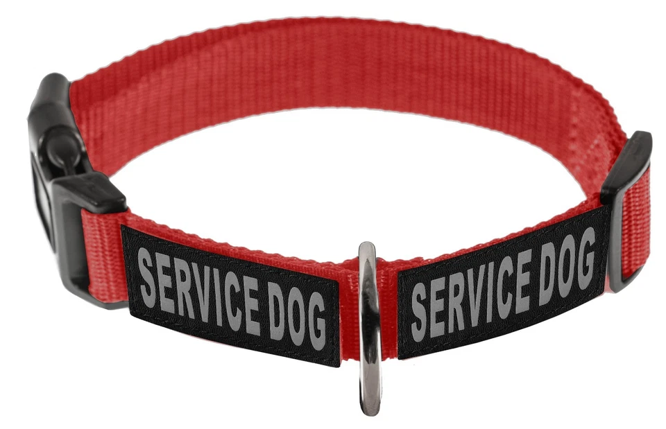 Collar de nailon Dogline Omega con parches extraíbles terapia de servicio Foto 3 de 4