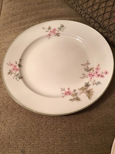 Vintage Speiseteller, Hutschenreuther Selb Germany, Design 21-LH Turvel Bavaria