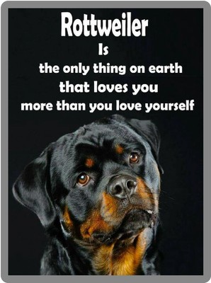 Dog Rottweiler Loves You Refrigerator Magnet 