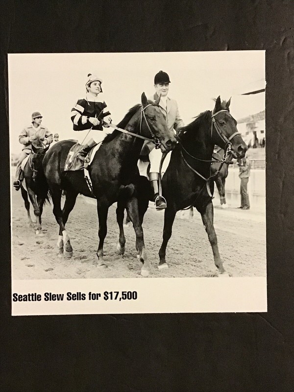 SEATTLE SLEW Photo Sells For $17,500 Horse Racing CHAMPION