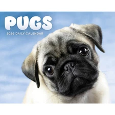 Carousel Calendars,  Pugs 2026 Desk Calendar, 6.18'' X 5.43'', 16-Month Calendar