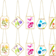 10 Pcs Glass Frame for Pressed Flowers 5 Different Shapes Brass Hanging Picture