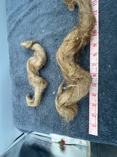 antique victorian blond long hair wig making piece doll wig making lot Human - Picture 5 of 20