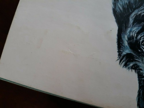 2 - I Can Read About Bks - Dogs and Puppies & Whales and Dolphins - J. Anderson - Bild 3 von 12