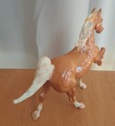 Foto 6 di 9
