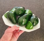 Zdjęcie 6 z 10