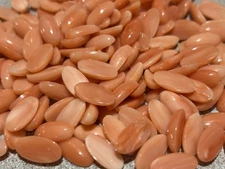 Vintage AAA Natural Carved & Polished Japanese Salmon Pink Coral Oval Cabochon