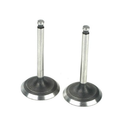Saito Engines Valve In & OutPairADAE SAI220A46 Replacement Engine Parts Air/Heli