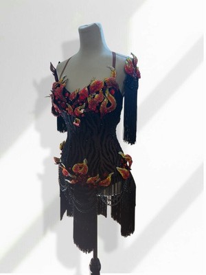 Black Fire Latin /Rhythm Competition Performance Dress Dance Costume Medium