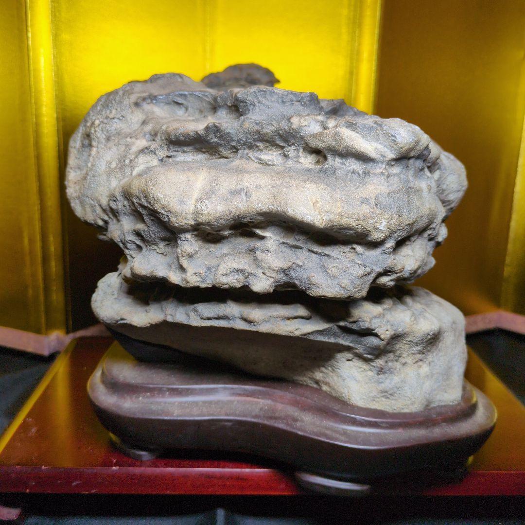 Suiseki Bonseki Bonsai Viewing Stone Dragon Hiding Extra Large