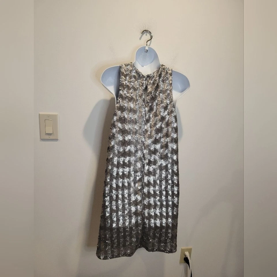 Vestido Aritzia Talula Talla S Canterbury Lentejuelas Plateadas Mini Brillante Foto 4 de 4