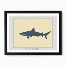 Blacktip Reef Shark Silhouette 5 Po Framed Wall Art Poster Canvas Print Picture