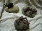 small lizards and snails on rocks 3 to choose from