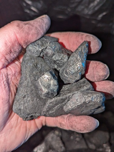 Screened Anthracite NUT Coal Blacksmithing Geological Teacher Sample 25Lbs - Picture 3 of 4