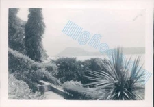 Tremezzo Lake Como Villa Carlotta gardens in 1951 3.25 x 2.25 inches 