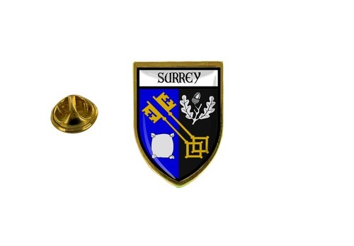pins pin badge pin's souvenir ville drapeau pays blason setif
