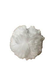 Fur Fuzzy Plush Ball Keychain Soft Furry Cute Pom Pom Key Ring