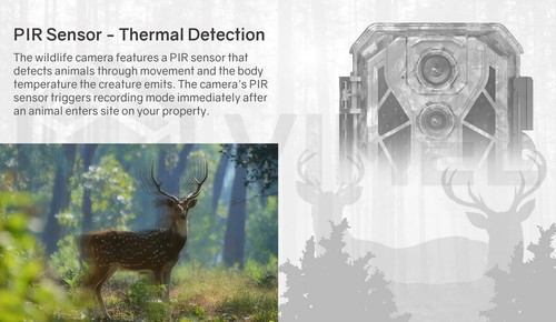 Trail Camera Dual Lens Solar Panel Wildlife 128GB Security UHD 4K Outdoor - Picture 5 of 12