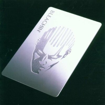 Bleachin' Everyone loves you everythings free (2000) [CD]