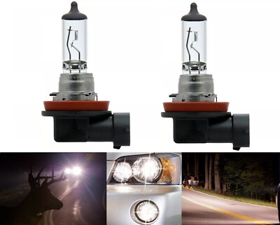 Sylvania Basic H11 55W Two Bulbs Head Light Low Beam Replacement Stock Plug Play