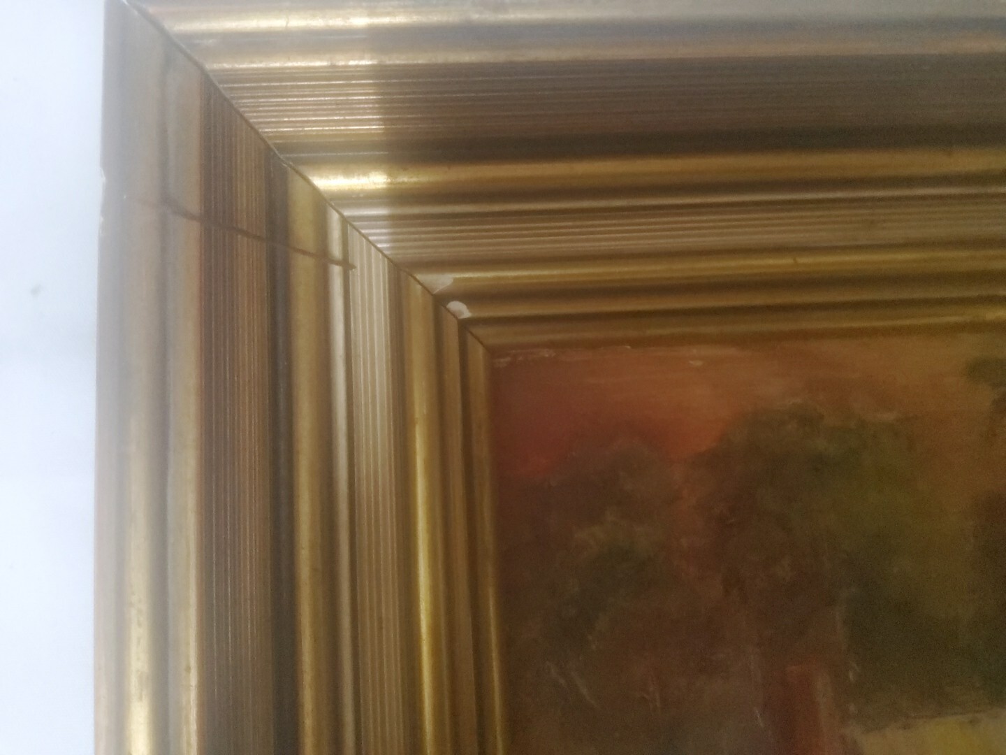 Picture 7 of 7