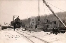 NYO&W New Bridge Railroad Train Station PRESTON PARK PA RPPC Photo Postcard COPY