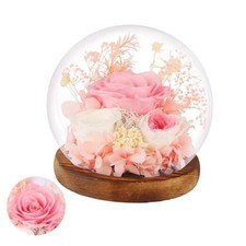Preserved Roses Real Flowers in Glass Gifts for Pink