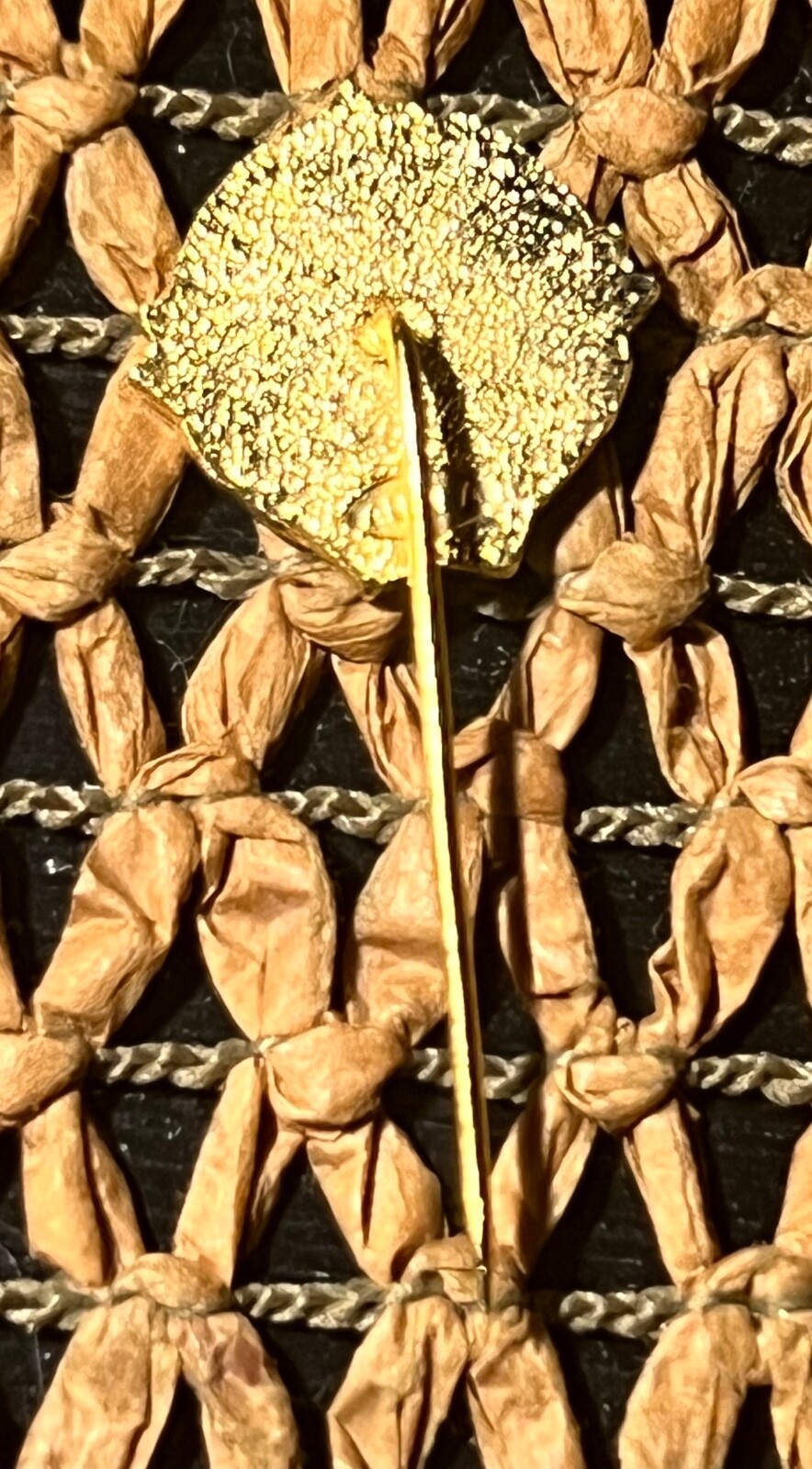 Picture 6 of 6