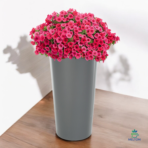 Blumenkübel Hochglanz Rund Slim Blumentopf Pflanzkübel anthrazit 5 Größen NEU! - Bild 14 von 17