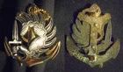 TDM PARATROOPER TROOPS BERET BADGE - DRAGON - G 1535