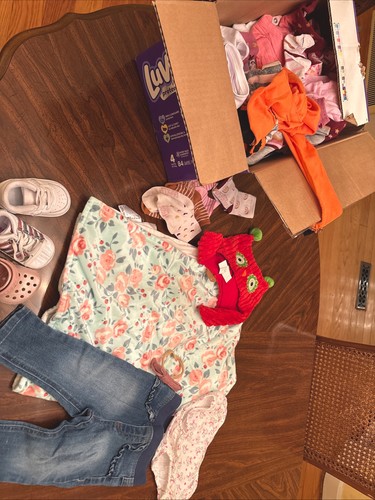 Lot of 25 Piece Pre Owned Baby Girl Clothes 3-6 Months Mixed Brands Some New