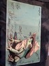 Magic the Gathering Singed Play Mat With A Frog Design