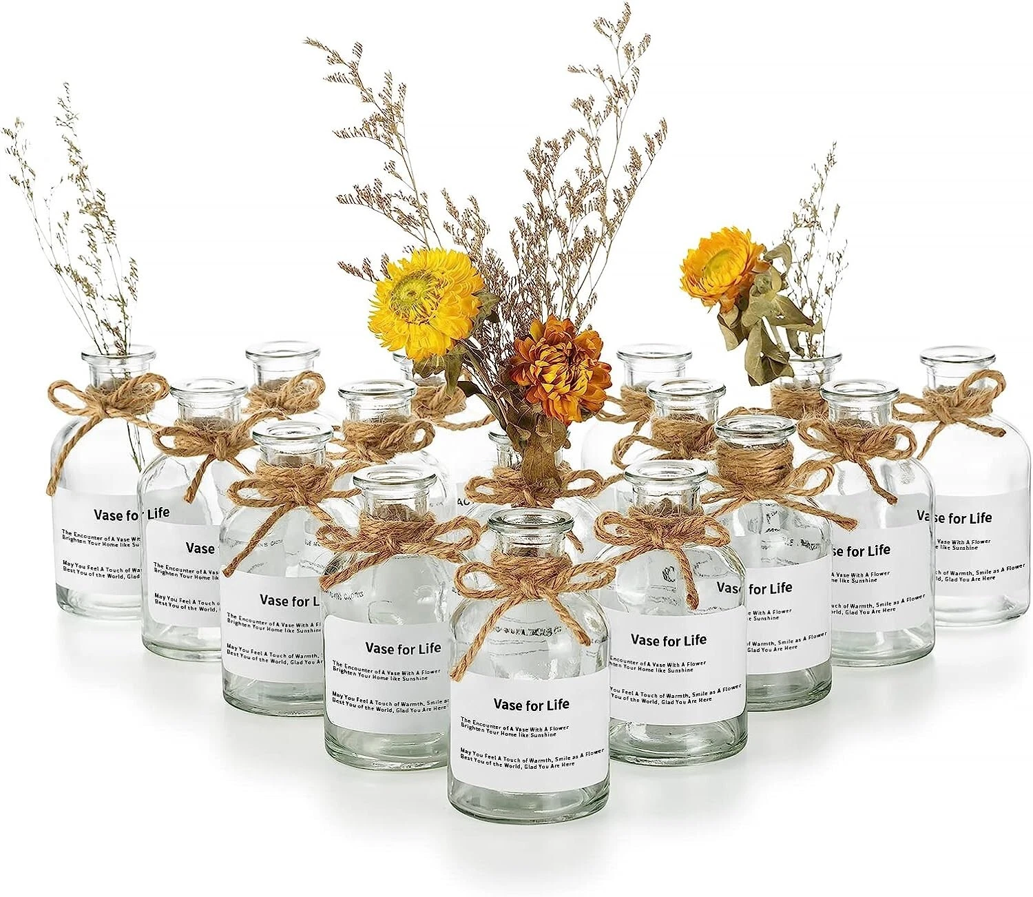 Glass Flowers Bud Vases Clear: 16Pcs 4.2Oz with Twine Rope and Labels, Boho Vase