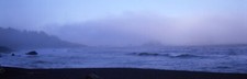 Images Of The Land ShelfScapes 2317 Rolling Fog 10" x 30" Backdrop For Diorama