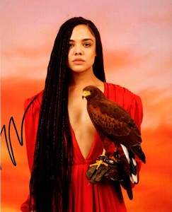 Tessa-Thompson-Autographed-8-x-10-Photograph-Thor-Creed-Valkyrie-HOT-SEXY-COA