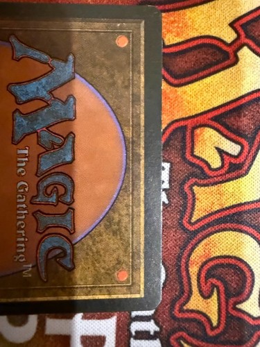 Scrubland - *FBB* - Foreign Black Border - Italian MTG - LP - Picture 5 of 7