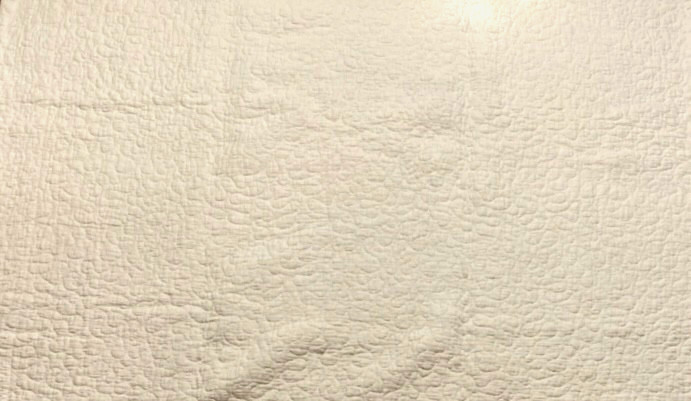 John Derian for Target Quilt 2025 - 100% Cotton - 50" x 70" - New with Tags