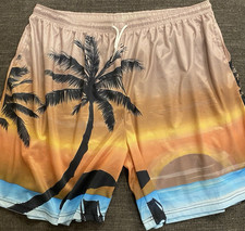 Men's Multicolor Scenic Beach Tropical Palm Print Swim Shorts Elastic Waist