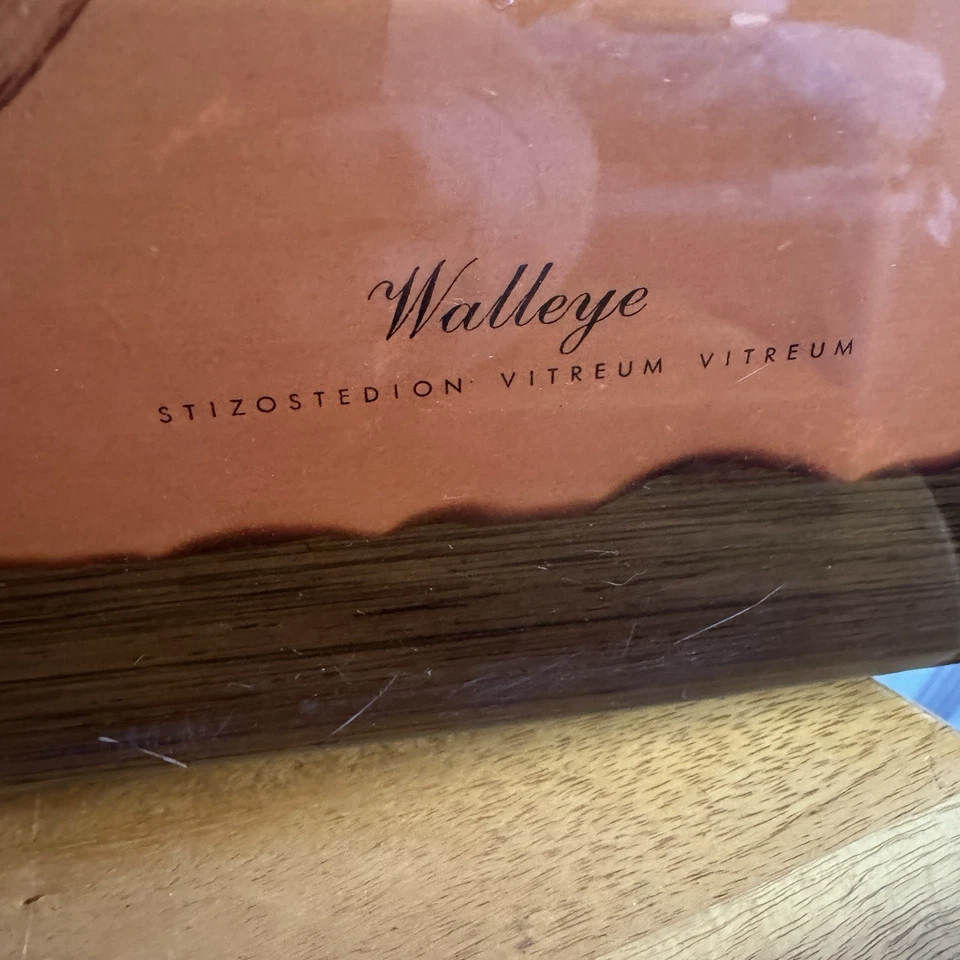 J Lockhart Signed Walleye Lacquered Plague Wall Hanger Cottage Farm Man Cave - Image 3 of 4