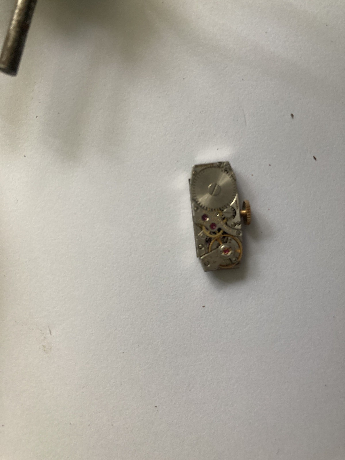 Picture 5 of 14