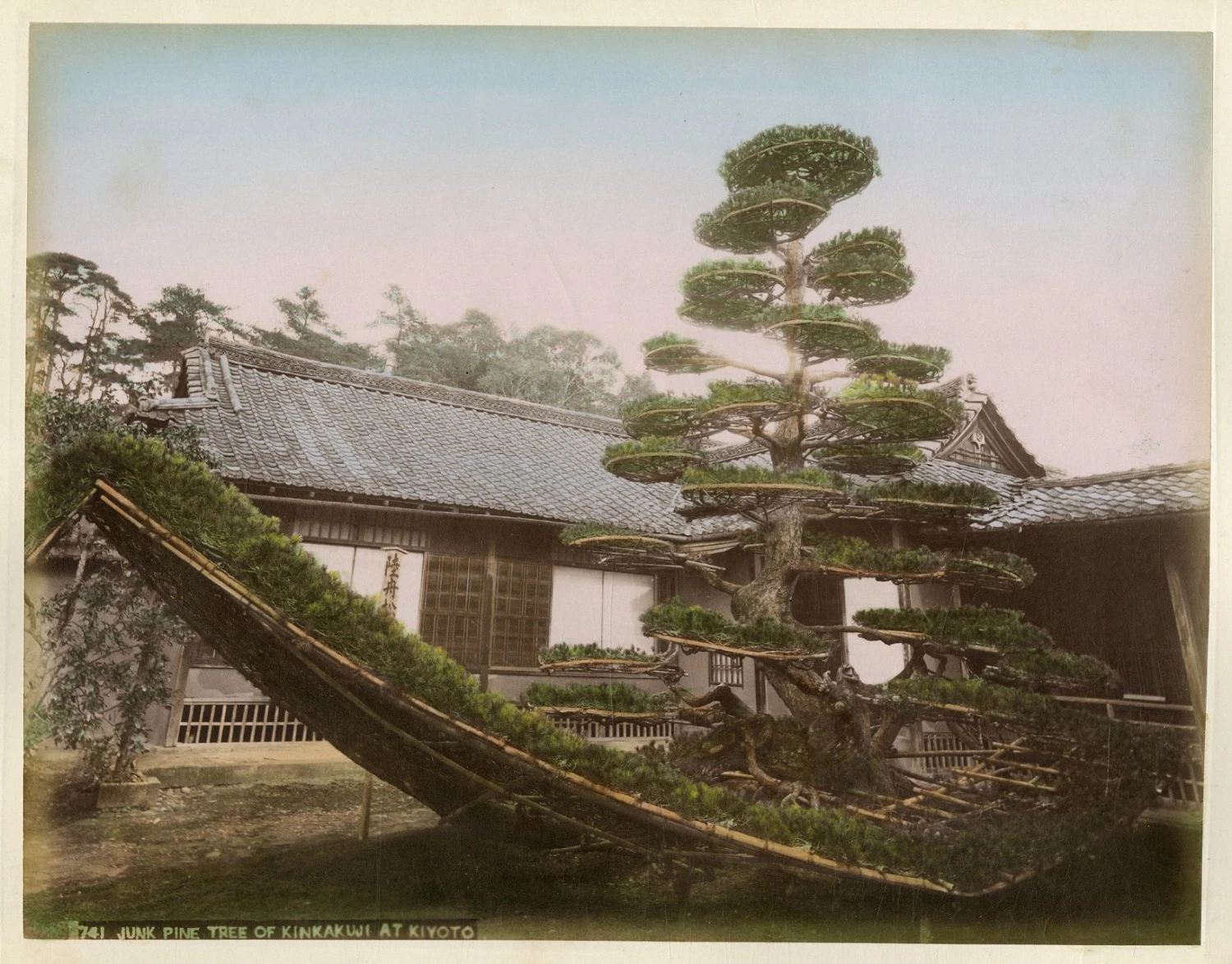 Photo 1/1